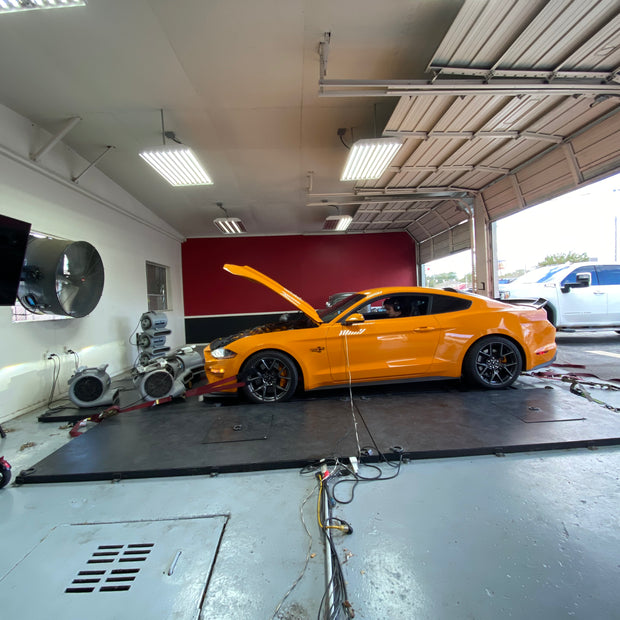 Dyno Session