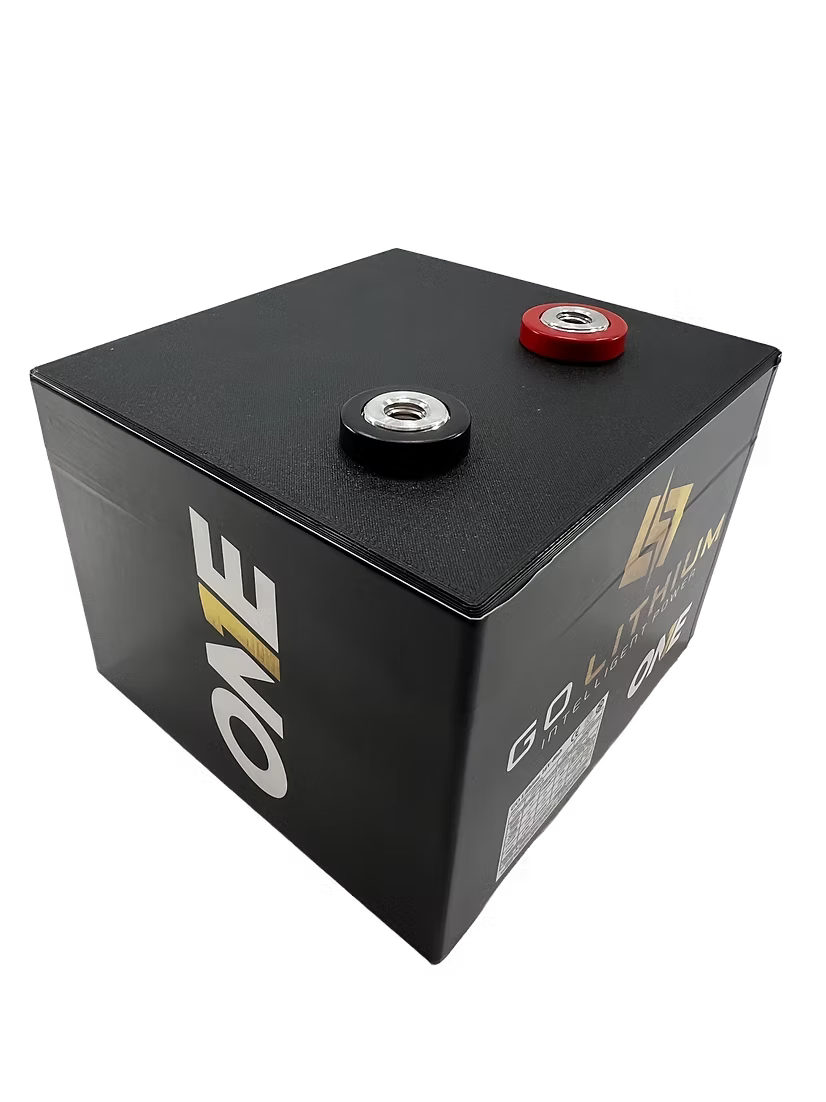 Go Lithium 16V ONE X Battery
