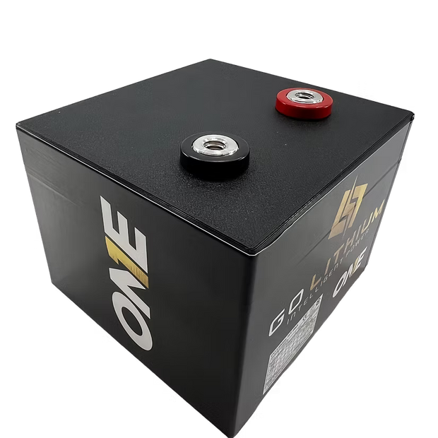 Go Lithium 16V ONE X Battery