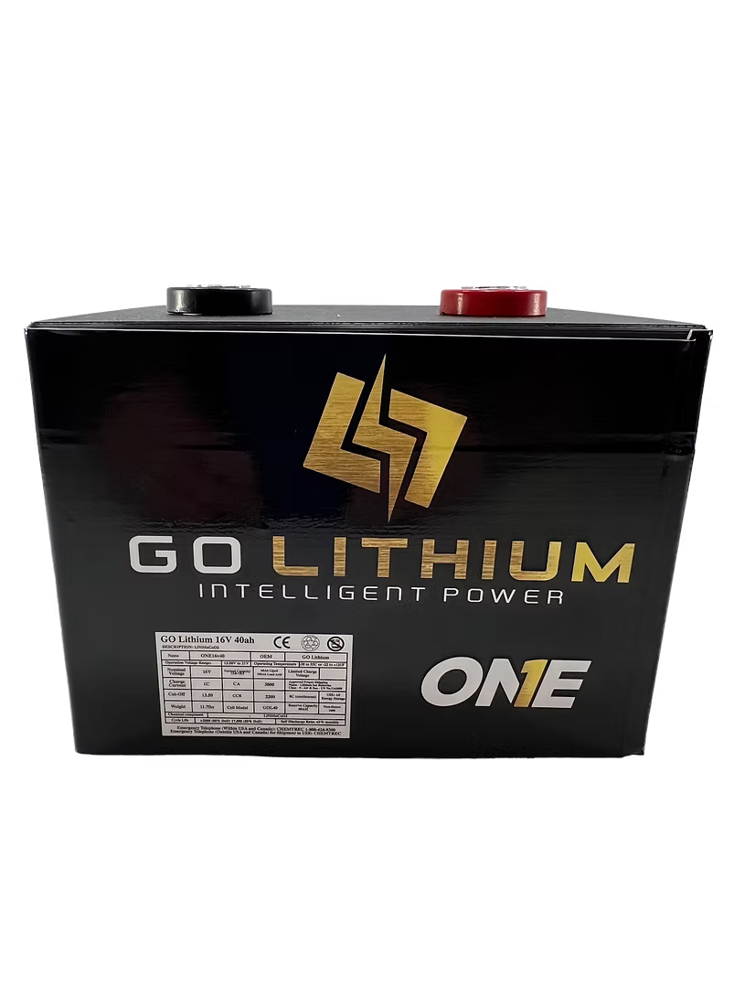 Go Lithium 16V ONE X Battery