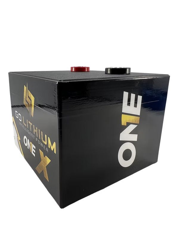 Go Lithium 16V ONE X Battery
