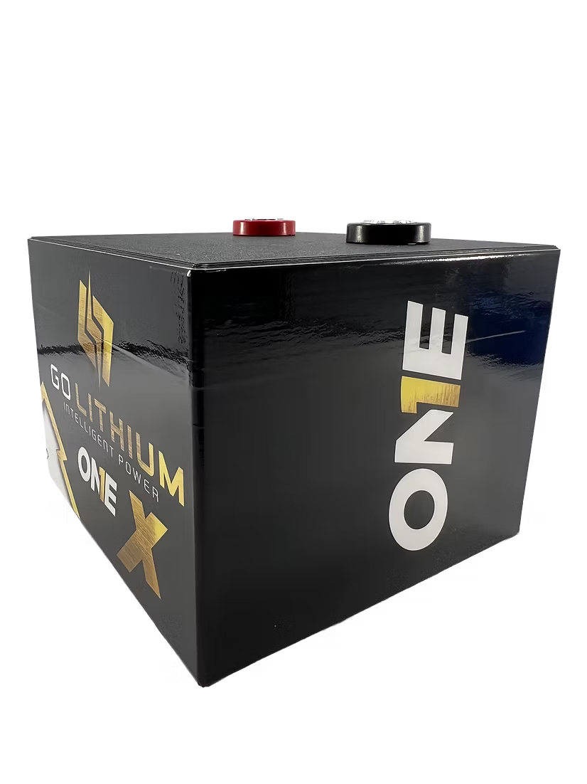 Go Lithium 16V ONE X Battery