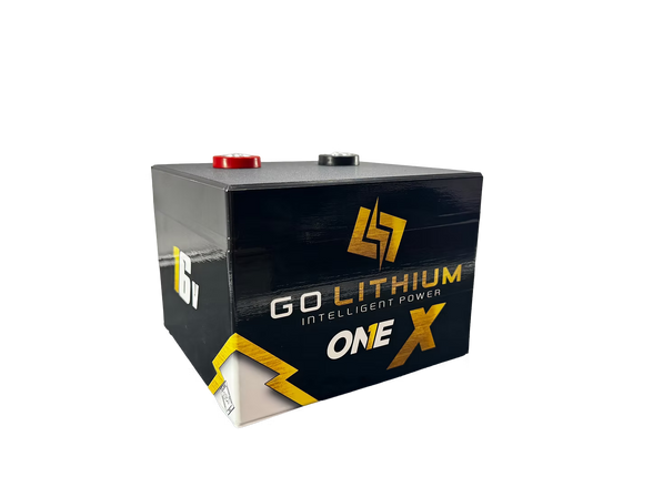 Go Lithium 16V ONE X Battery