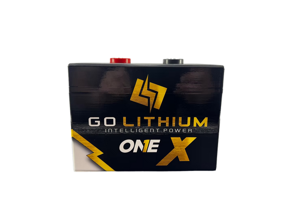 Go Lithium 16V ONE X Battery