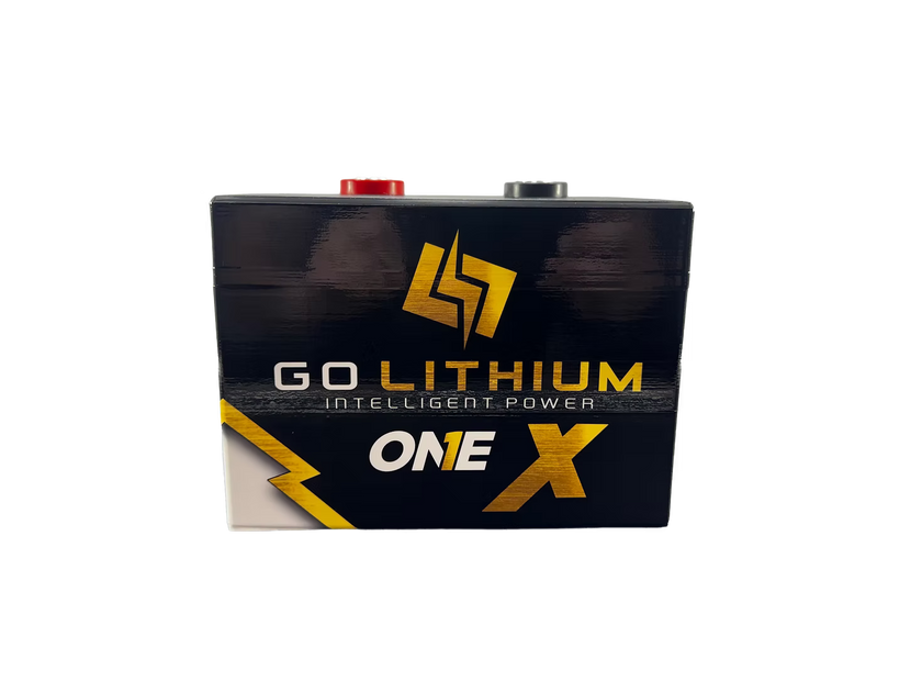 Go Lithium 16V ONE X Battery