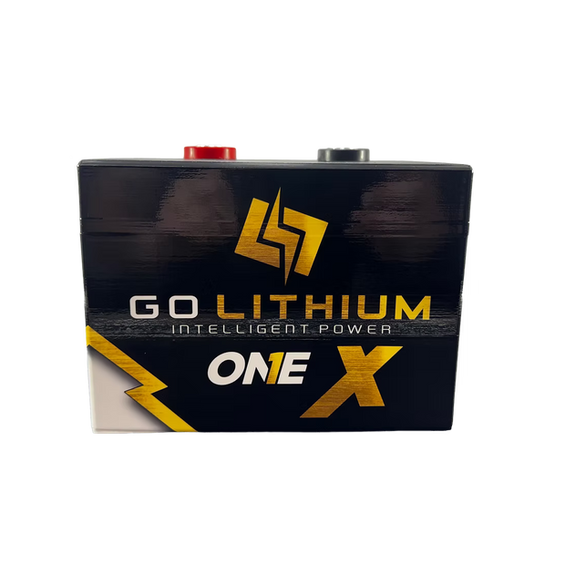 Go Lithium 16V ONE X Battery