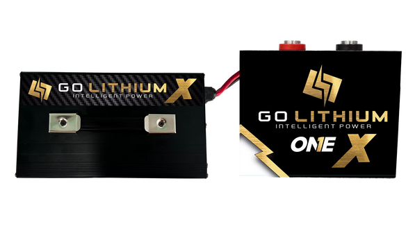 Go Lithium 16V ONE X Battery
